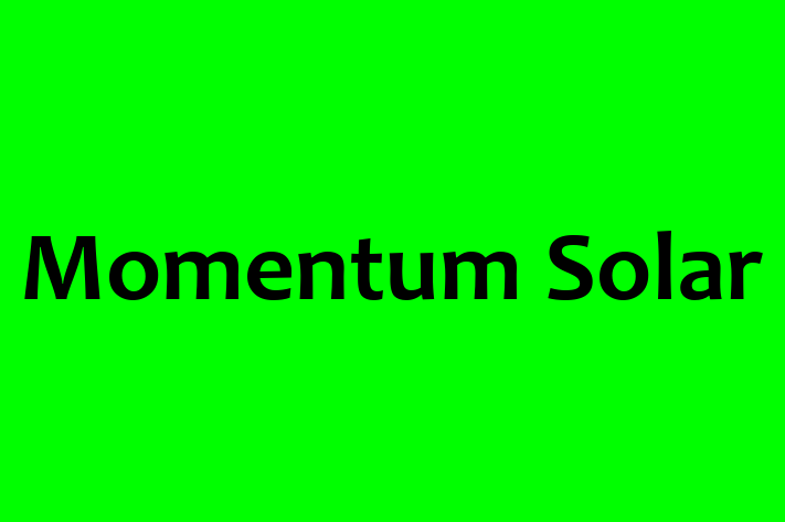 Talent Management Momentum Solar