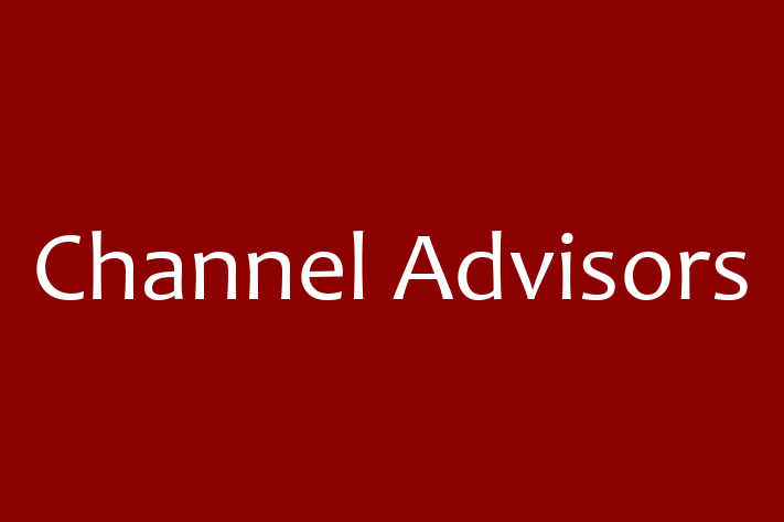 Technology Company Channel Advisors