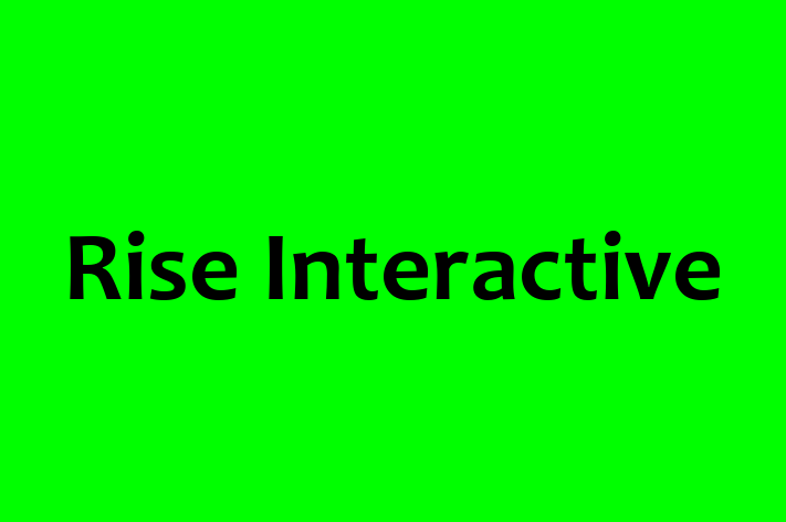 Technology Company Rise Interactive