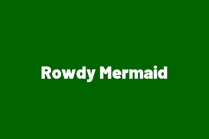 HR Administration Rowdy Mermaid