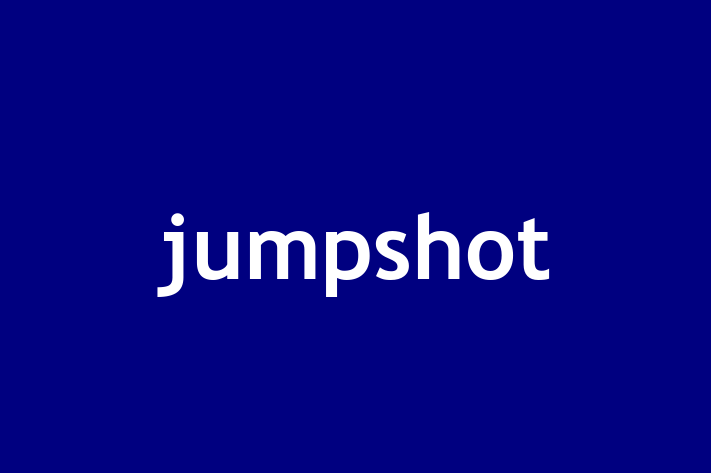 Software Development Firm jumpshot