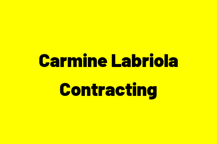 HR Administration Carmine Labriola Contracting