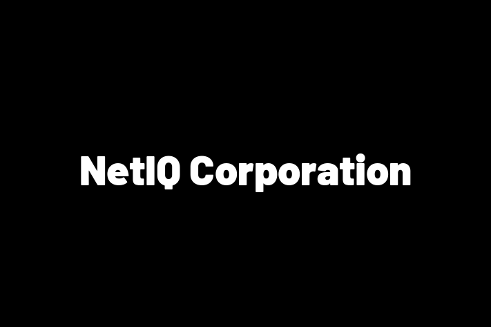 Digital Solutions Provider NetIQ Corporation