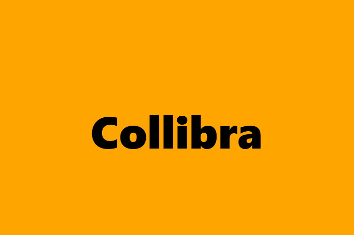 Human Resource Management Collibra