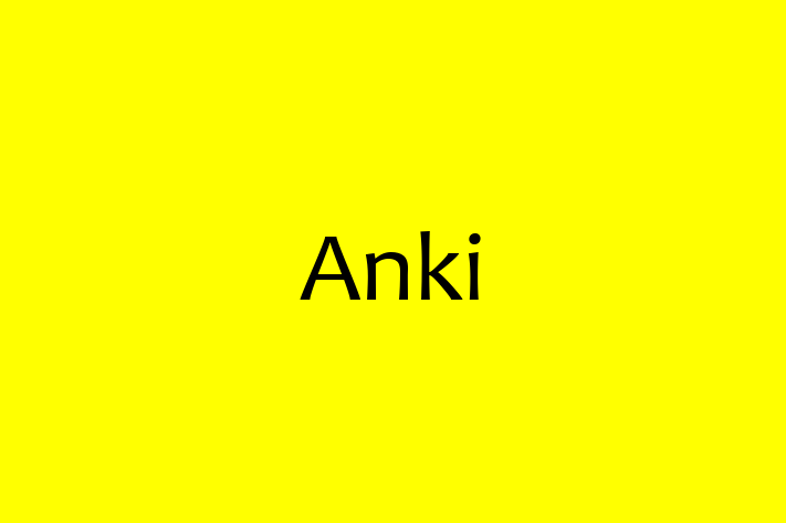 Software Consultancy Anki