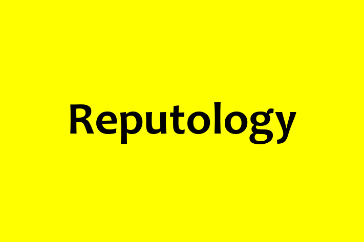 Digital Solutions Provider Reputology