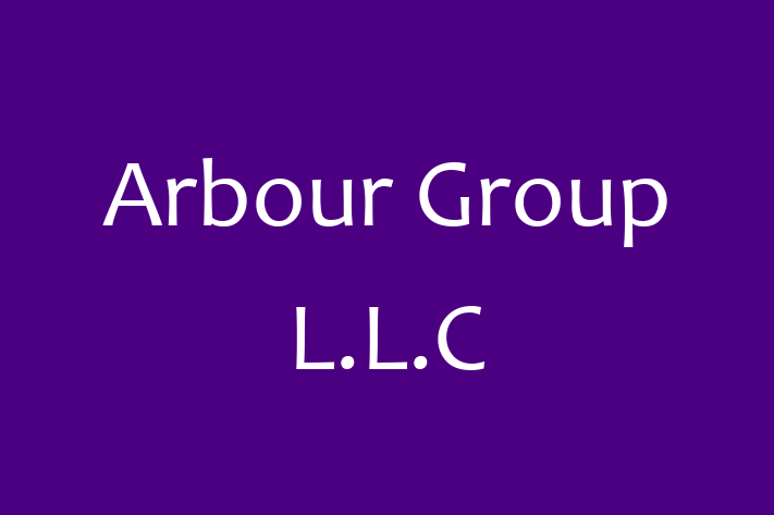 Software House Arbour Group L.L.C