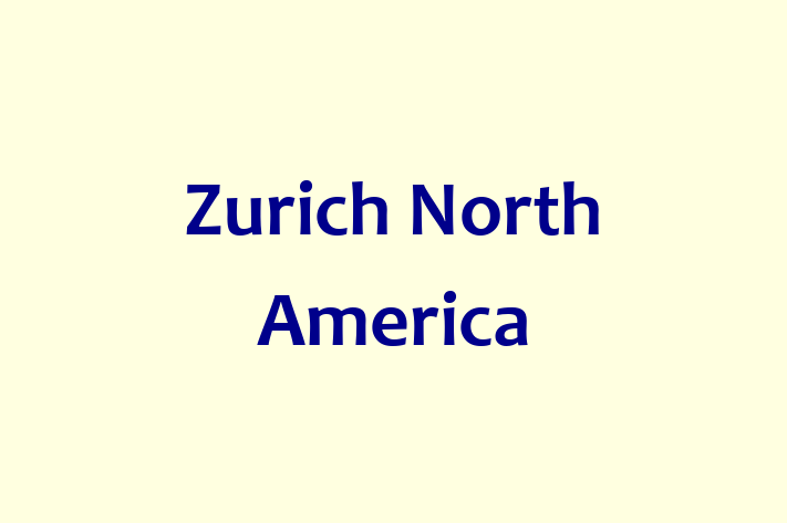 Employee Resource Management Zurich North America