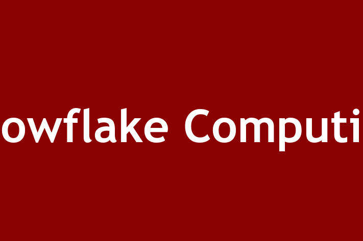 Application Development Company Snowflake Computing