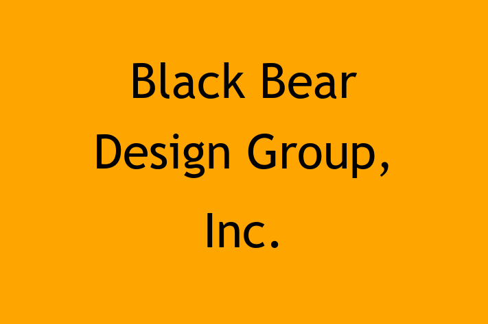 Tech Solutions Company Black Bear Design Group Inc.