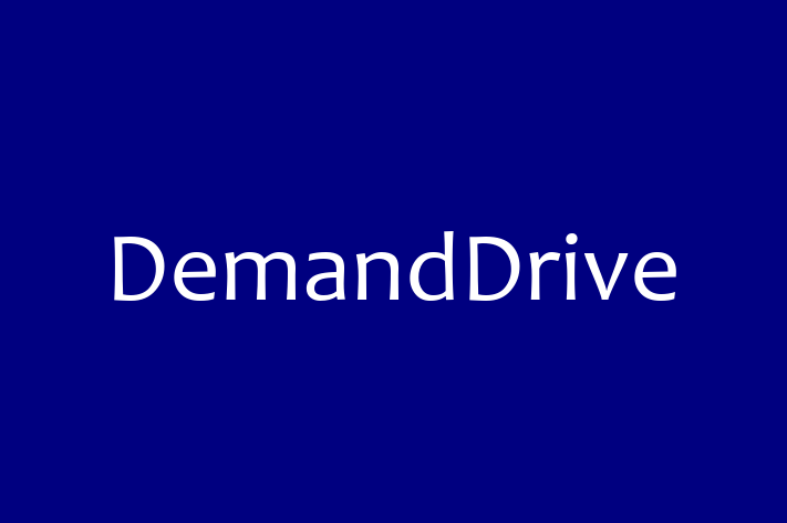 Software Engineering Company DemandDrive