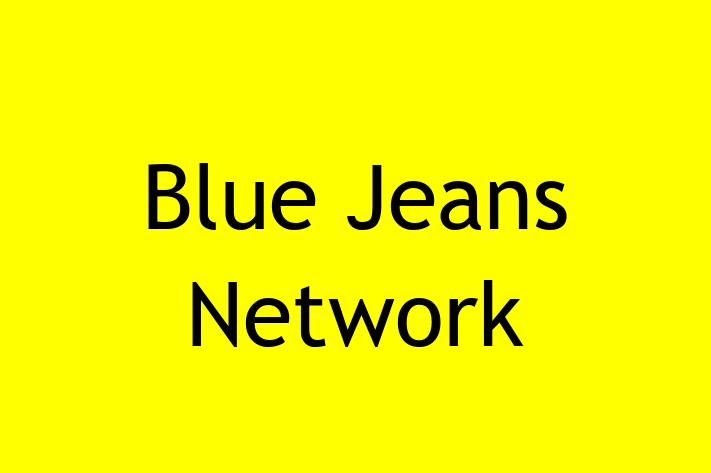 Software Development Company Blue Jeans Network