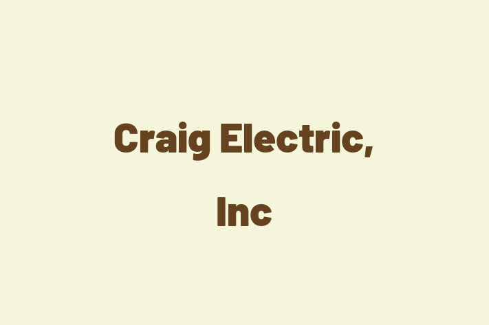 Technology Company Craig Electric Inc