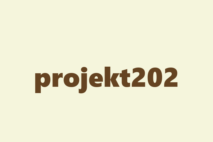 Digital Solutions Provider projekt202