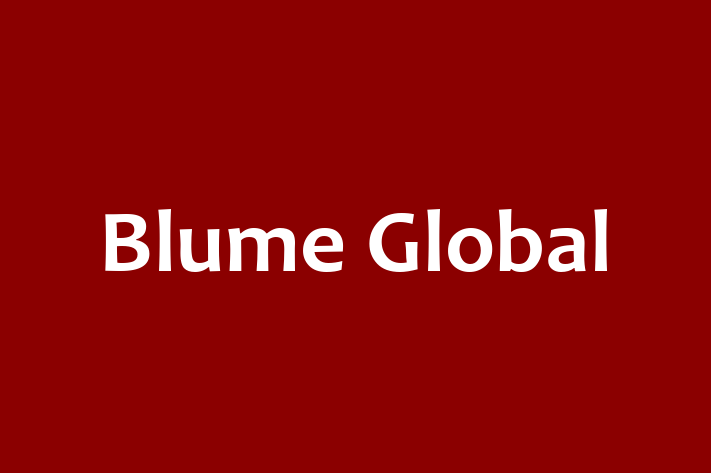 Software Solutions Provider Blume Global