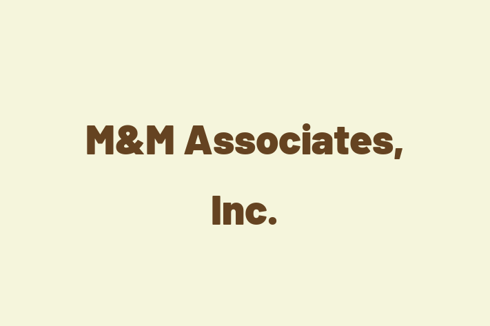 Technology Solutions Firm MM Associates Inc.