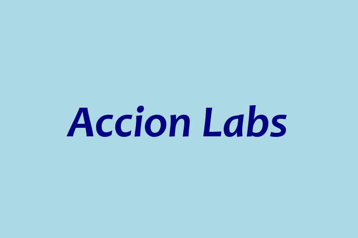 Software Development Firm Accion Labs