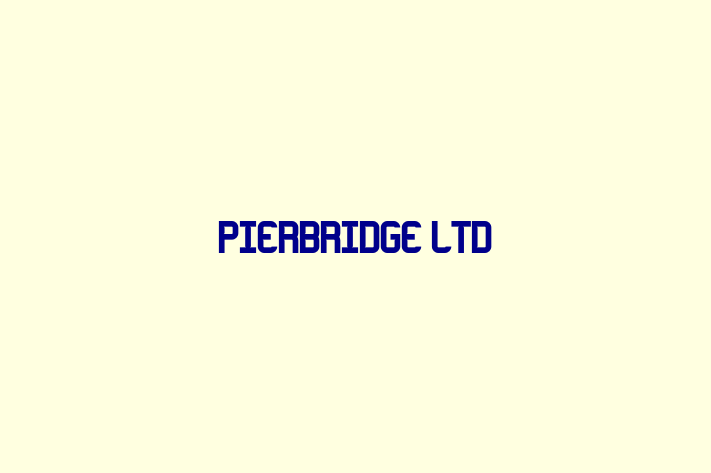 Software Consultancy Pierbridge Ltd