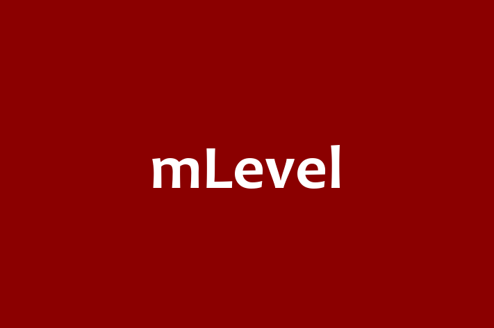 Application Development Company mLevel