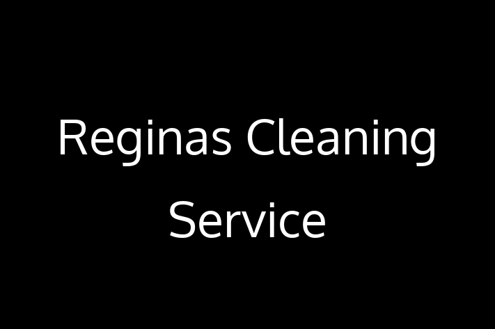 Home Sanitation Reginas Cleaning Service