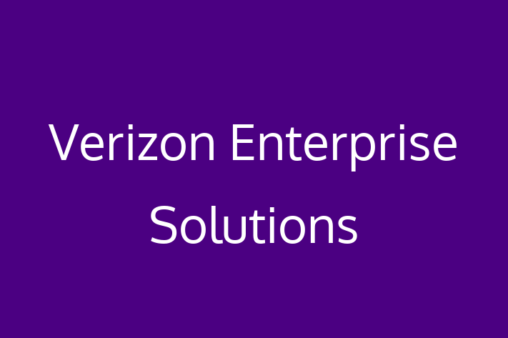 Software Solutions Provider Verizon Enterprise Solutions