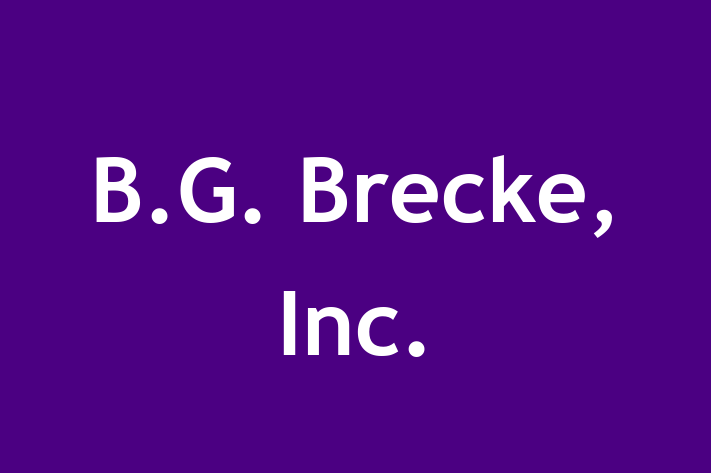 Talent Management B.G. Brecke Inc.