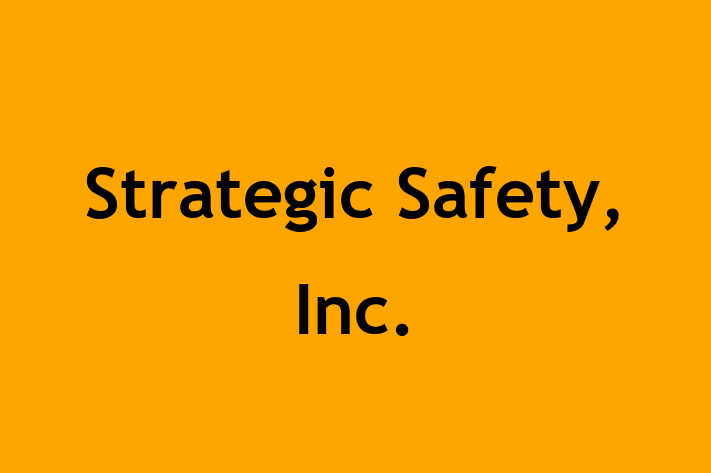 Tech Solutions Company Strategic Safety Inc.