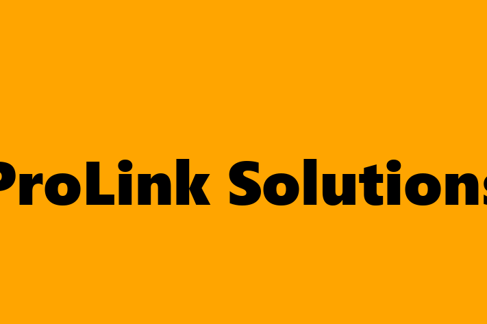 Software Engineering Company ProLink Solutions