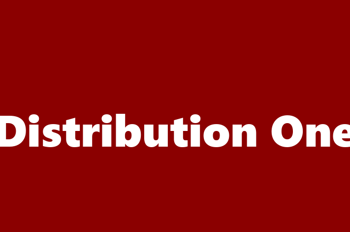 Software Firm Distribution One