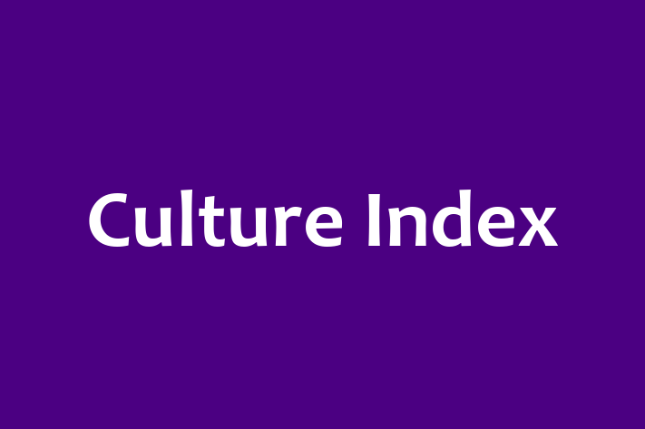 Tech Firm Culture Index