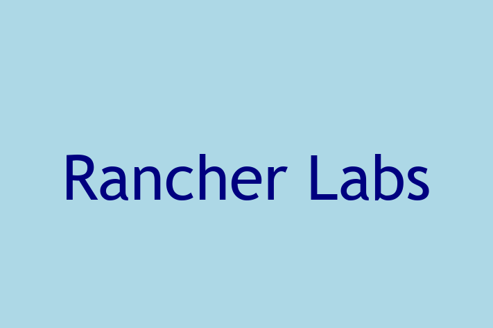 Tech Solutions Company Rancher Labs