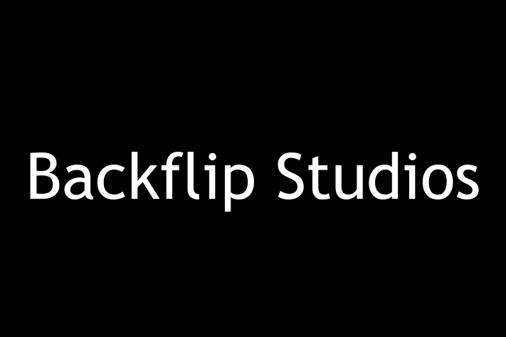 Technology Solutions Firm Backflip Studios