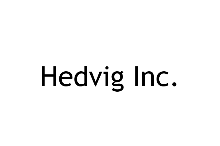 Tech Solutions Company Hedvig Inc.