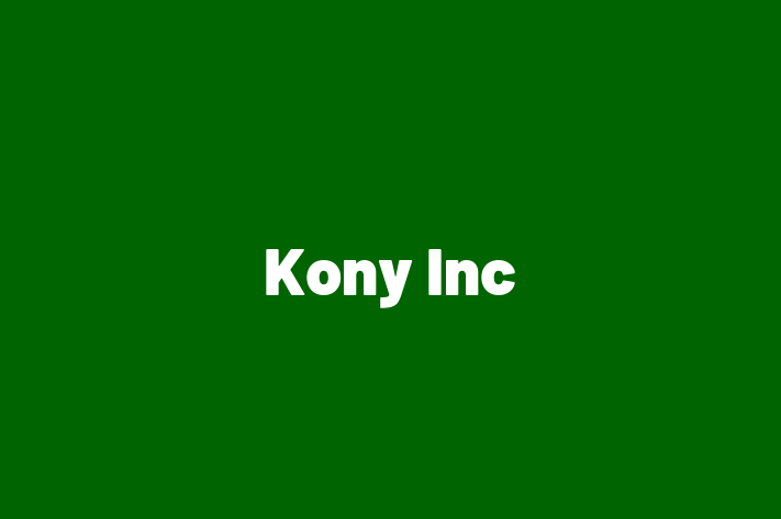 Software Services Company Kony Inc