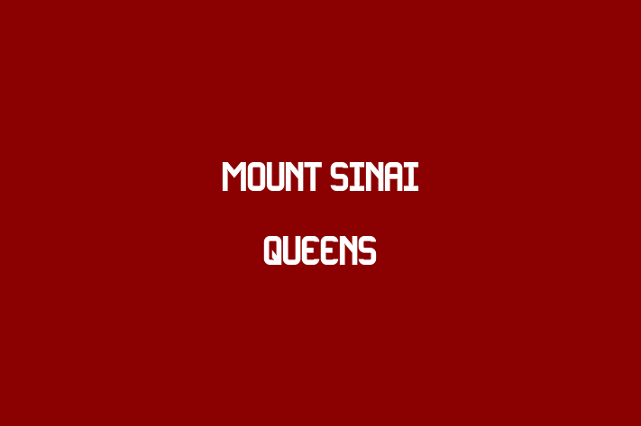 Human Capital Management Mount Sinai Queens