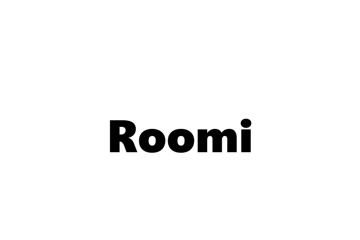 Software Solutions Provider Roomi