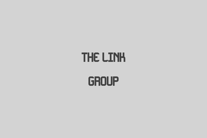 Application Development Company The Link Group