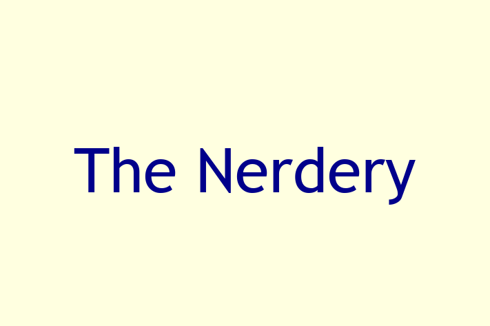 Software Consultancy The Nerdery