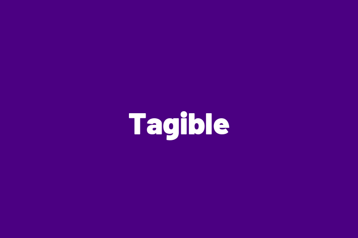 Software Development Company Tagible