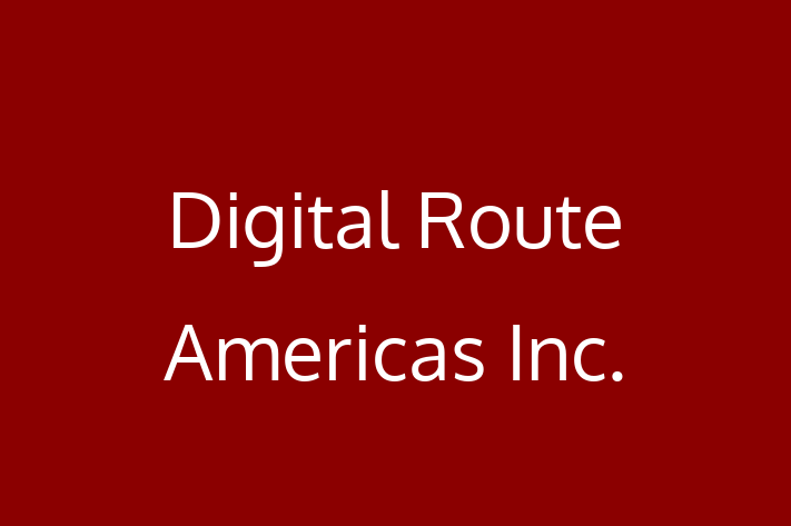 Technology Company Digital Route Americas Inc.