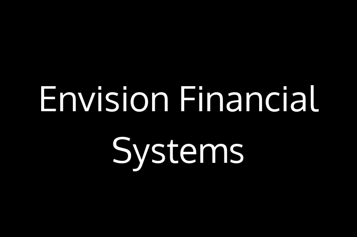 Software Development Company Envision Financial Systems