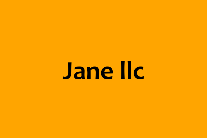 Technology Solutions Firm Jane llc