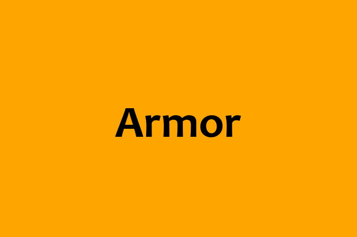 Application Development Company Armor