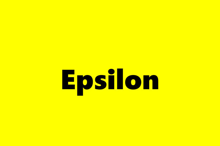 Technology Solutions Firm Epsilon