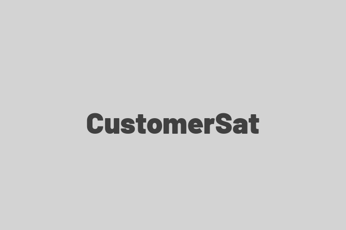 Software Engineering Company CustomerSat