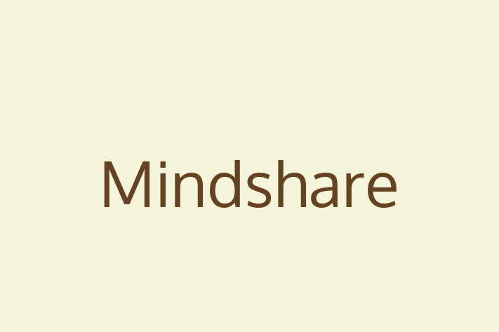 Software Services Company Mindshare