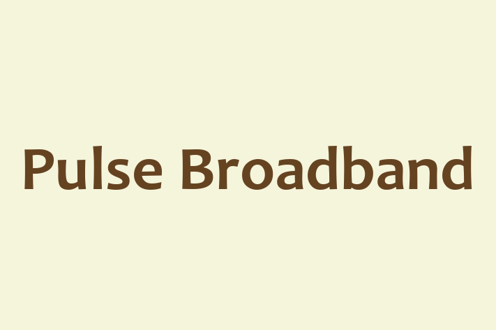 Software Consultancy Pulse Broadband