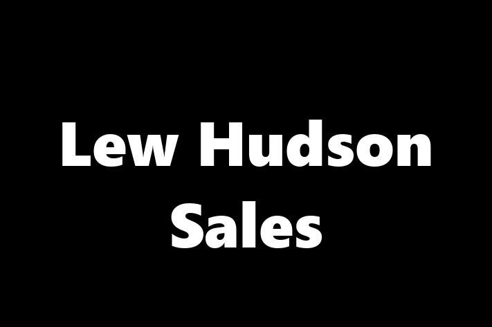 Application Development Company Lew Hudson Sales