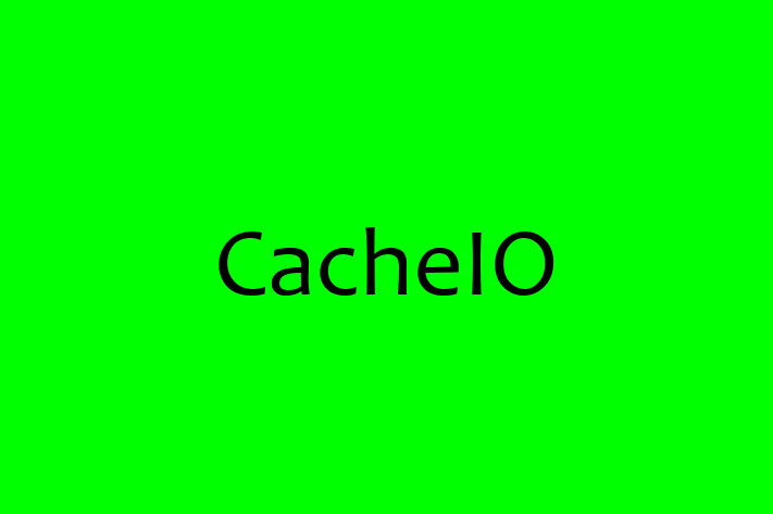 Tech Solutions Company CacheIO