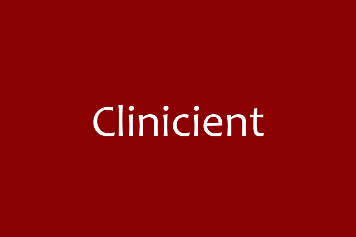 Software Development Company Clinicient